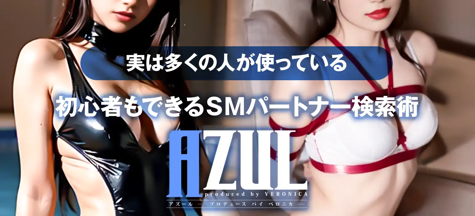 実は多くの人が使っている 初心者もできるＳＭパートナー検索術 AZUL