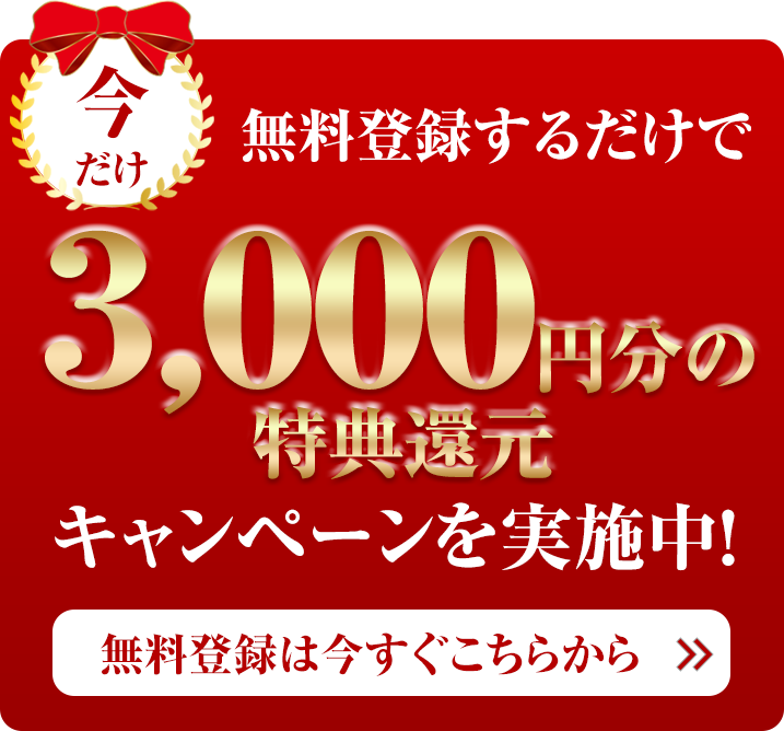 o^邾3,000~̓TҌLy[{I