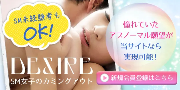実は多くの人が使っている 初心者もできるＳＭパートナー検索術 DESIRE
