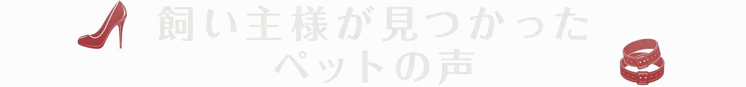 飼い主様が見つかった ペットの声