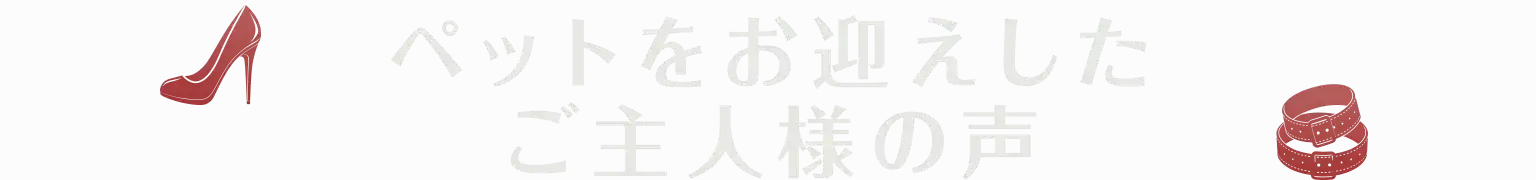 ペットをお迎えした ご主人様の声