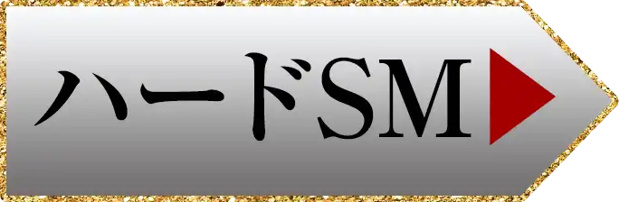 ハードSM