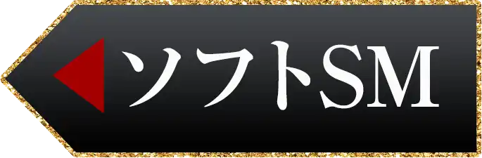ソフトSM