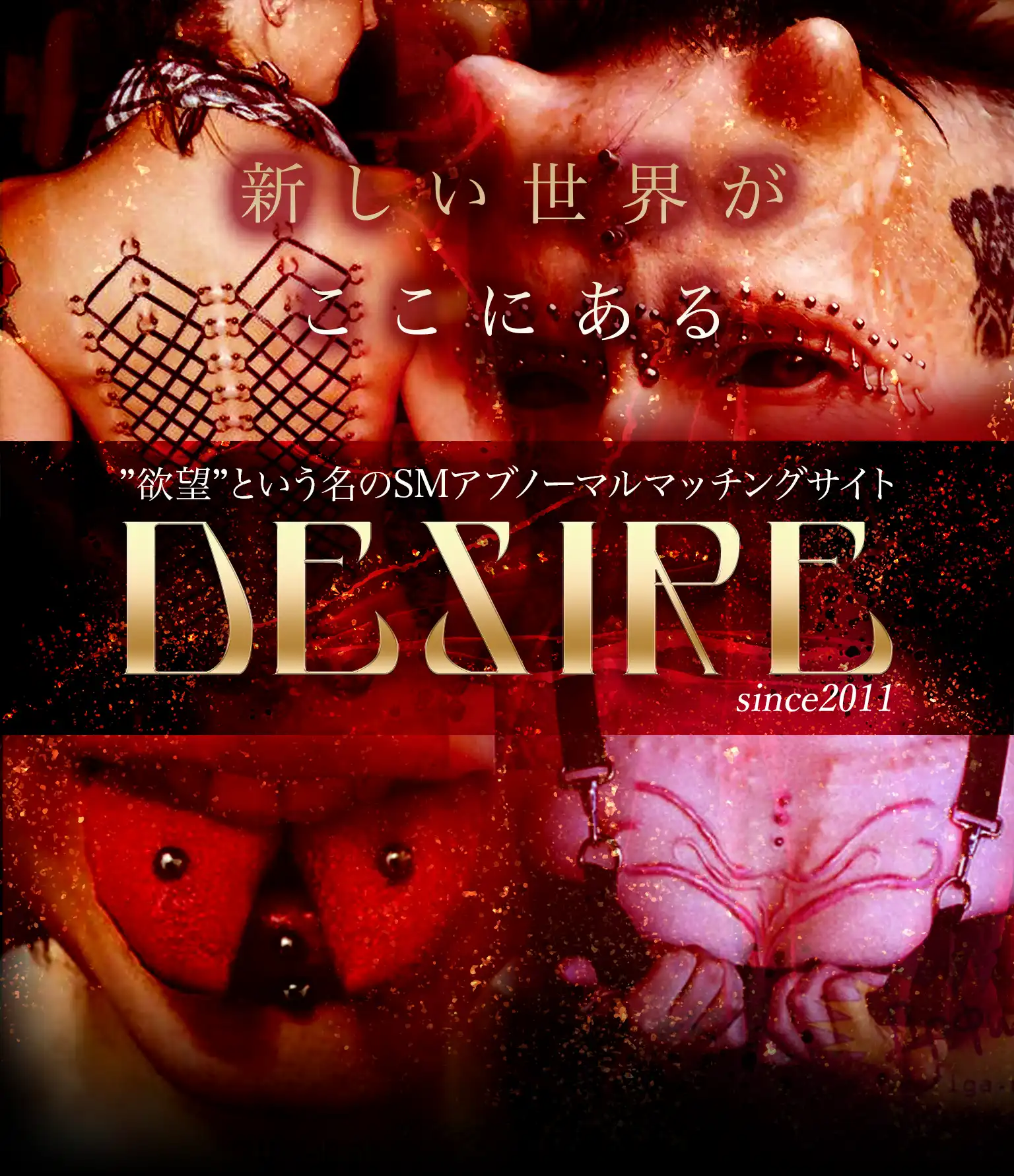 ”欲望”という名のSMアブノーマルマッチングサイト DESIRE