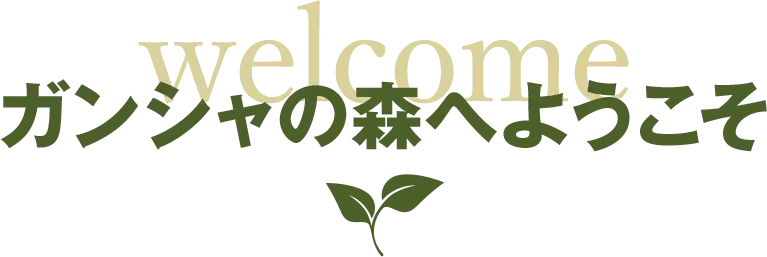 ガンシャの森へようこそ