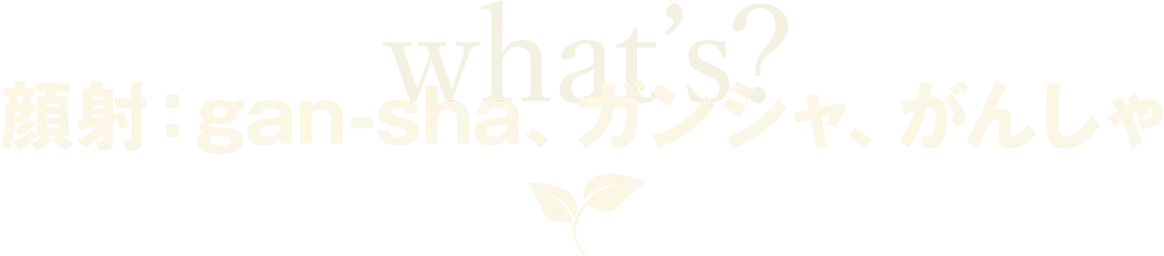 顔射：gan-sha、ガンシャ、がんしゃ