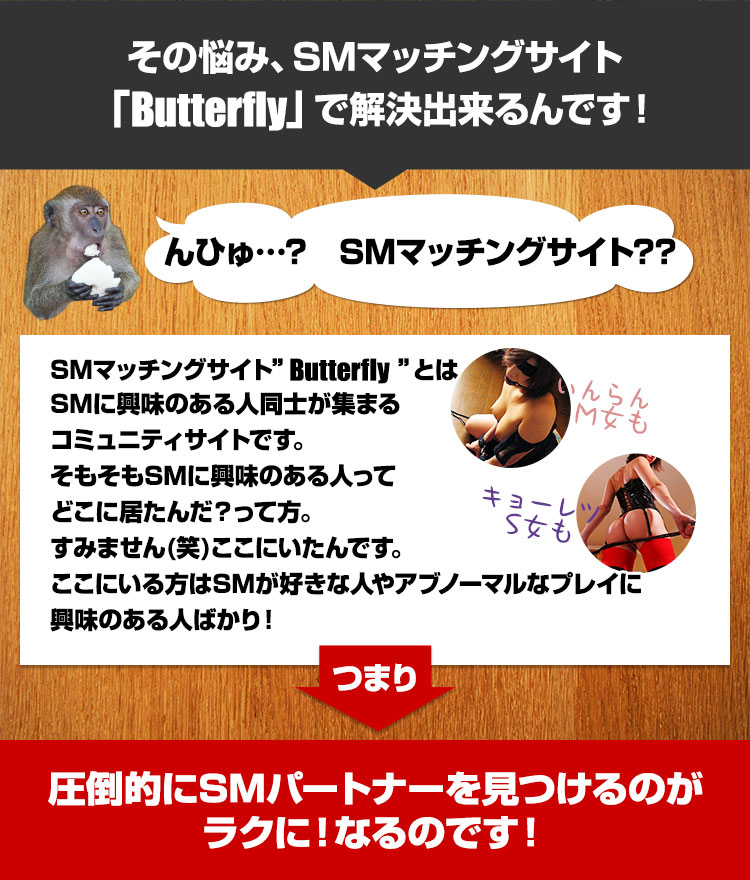 ̔Y݁ASM}b`OTCgButterflyŉoł!