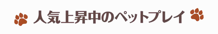 人気上昇中のペットプレイ