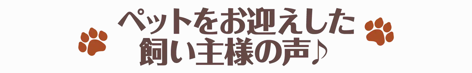 ペットをお迎えした飼い主様の声♪