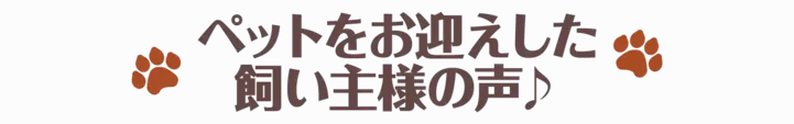 ペットをお迎えした飼い主様の声♪