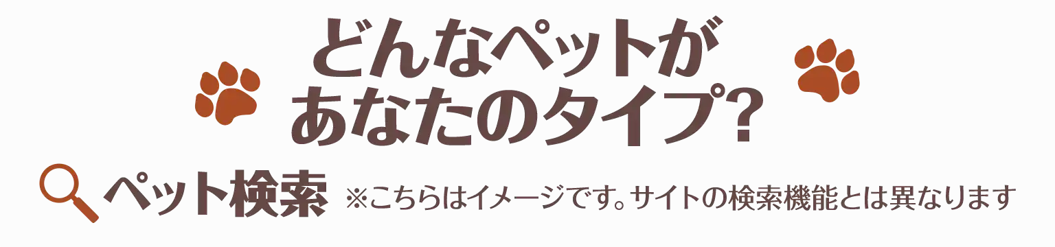 まずはお試しであなたのタイプのペットを検索