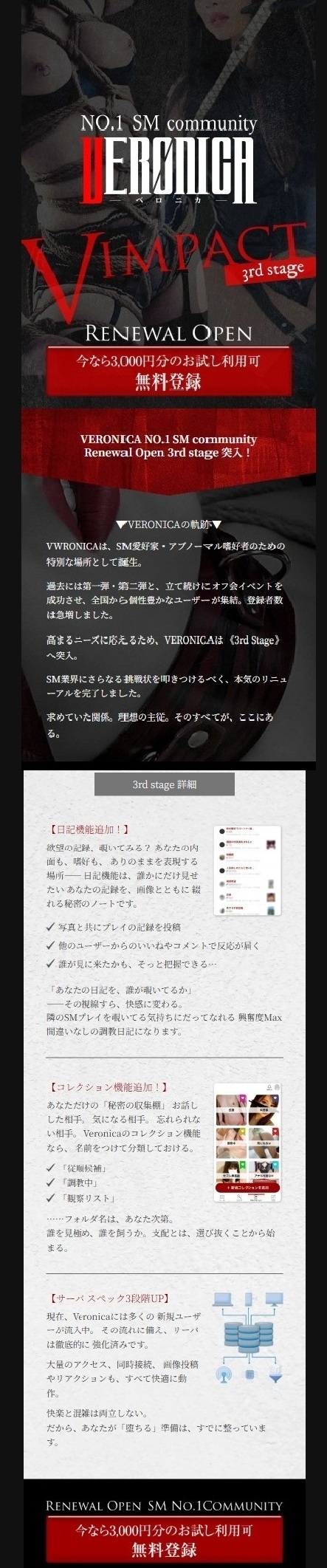 VERONICA縦長画像