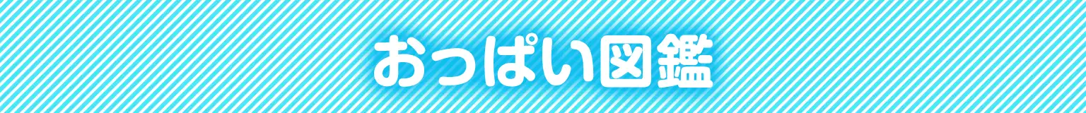 おっぱい図鑑