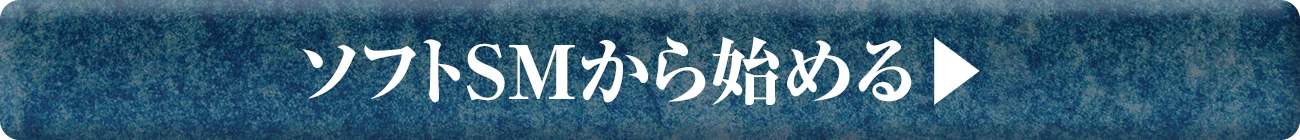 ソフトSMから始める▶︎