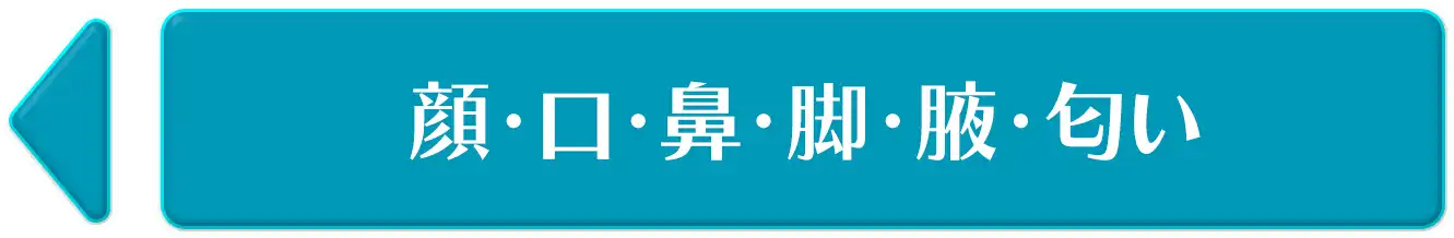 顔・口・鼻・脚・腋・匂い