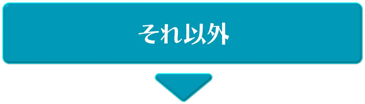 それ以外