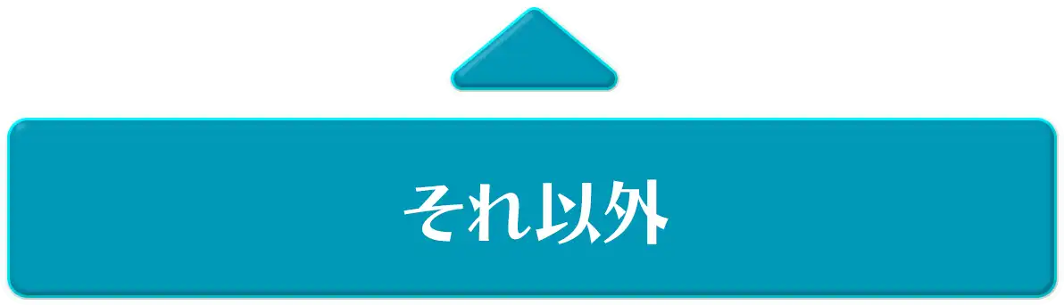 それ以外