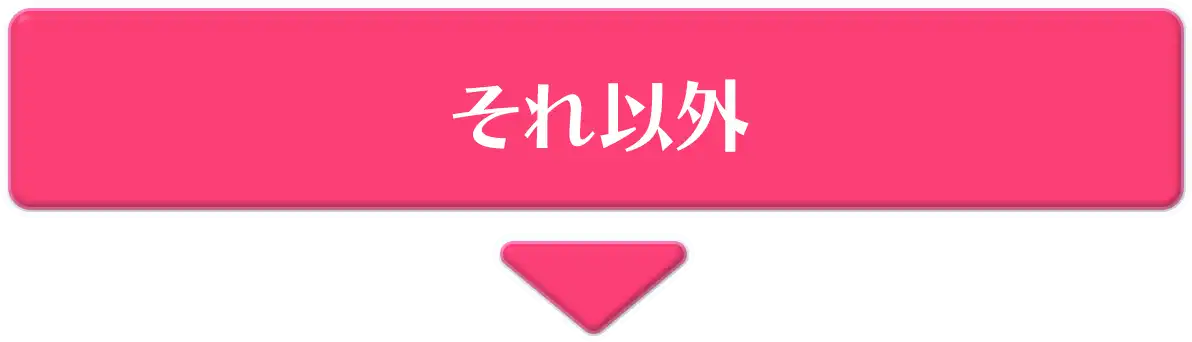 それ以外