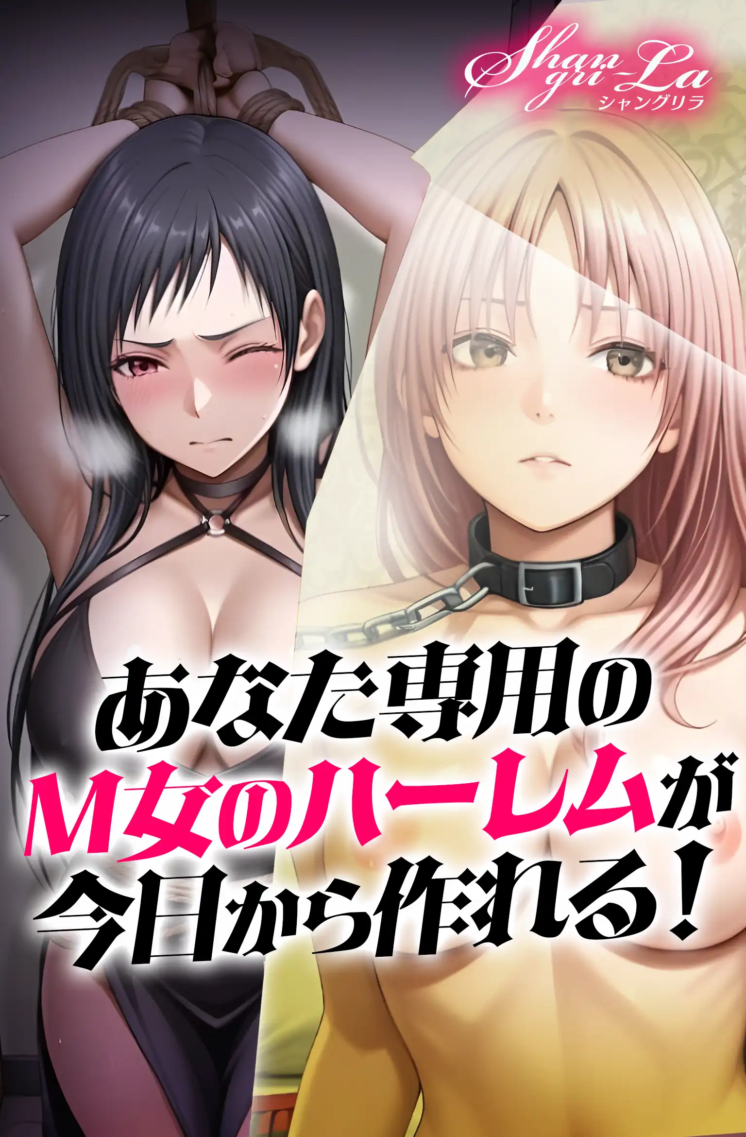 あなた専用のM女のハーレムが今日から作れる！Shangri-la