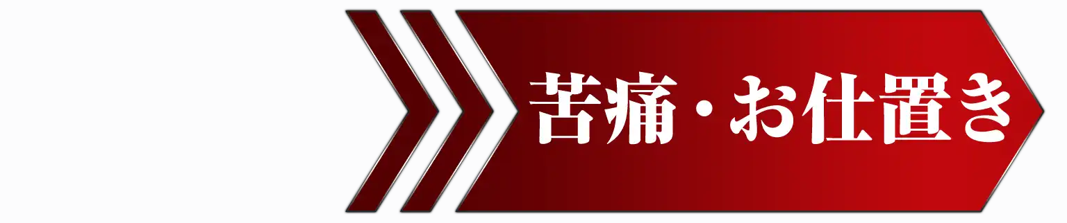 苦痛・お仕置き→