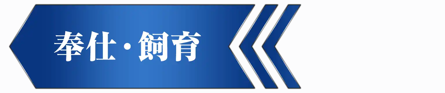 ←奉仕・飼育