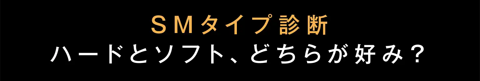 SMタイプ診断 ハードとソフト、どちらが好み？