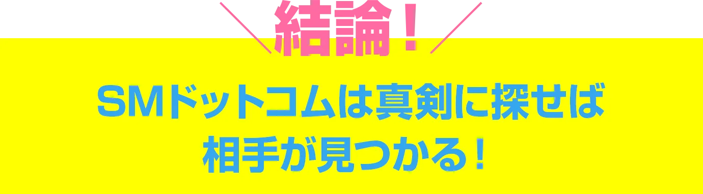 結論!SMドットコムは真剣に探せば相手が見つかる!