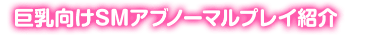 巨乳向けSMアブノーマルプレイ紹介