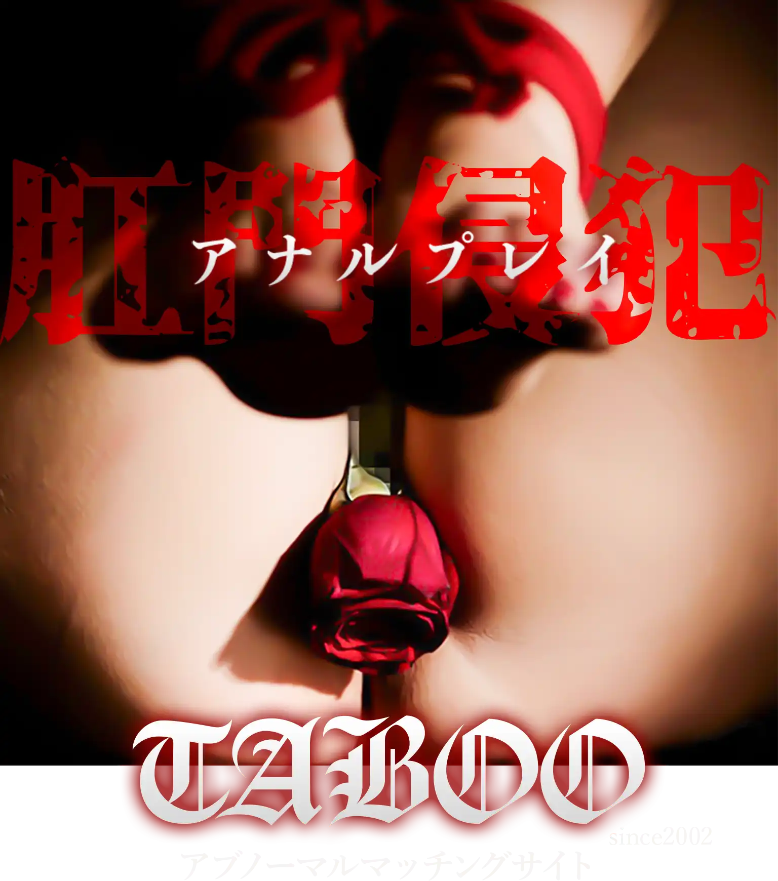 SMアブノーマルマッチングサイト TABOO